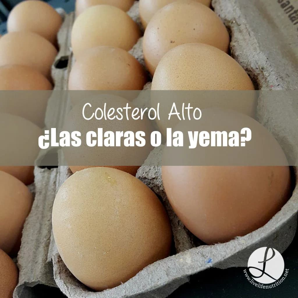Colesterol alto y huevo: lo que debes saber para tu bienestar y nutrición